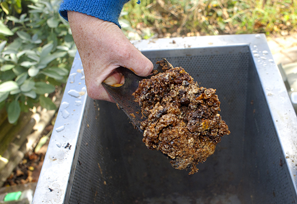 Reste von Nympfenhäutchen, toten Bienen, den Trester entnehmen